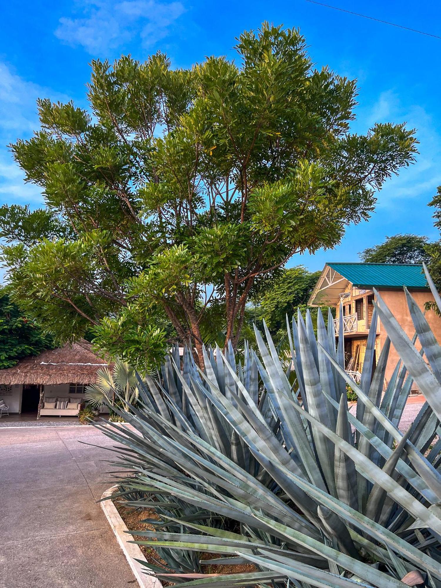 Villas El Encanto Jalpan Eksteriør bilde